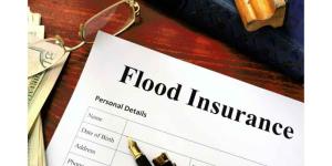 Insurance task force recommends tax credits for premiums
